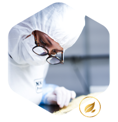 Pesquisadora analisando extrato natural em laboratório